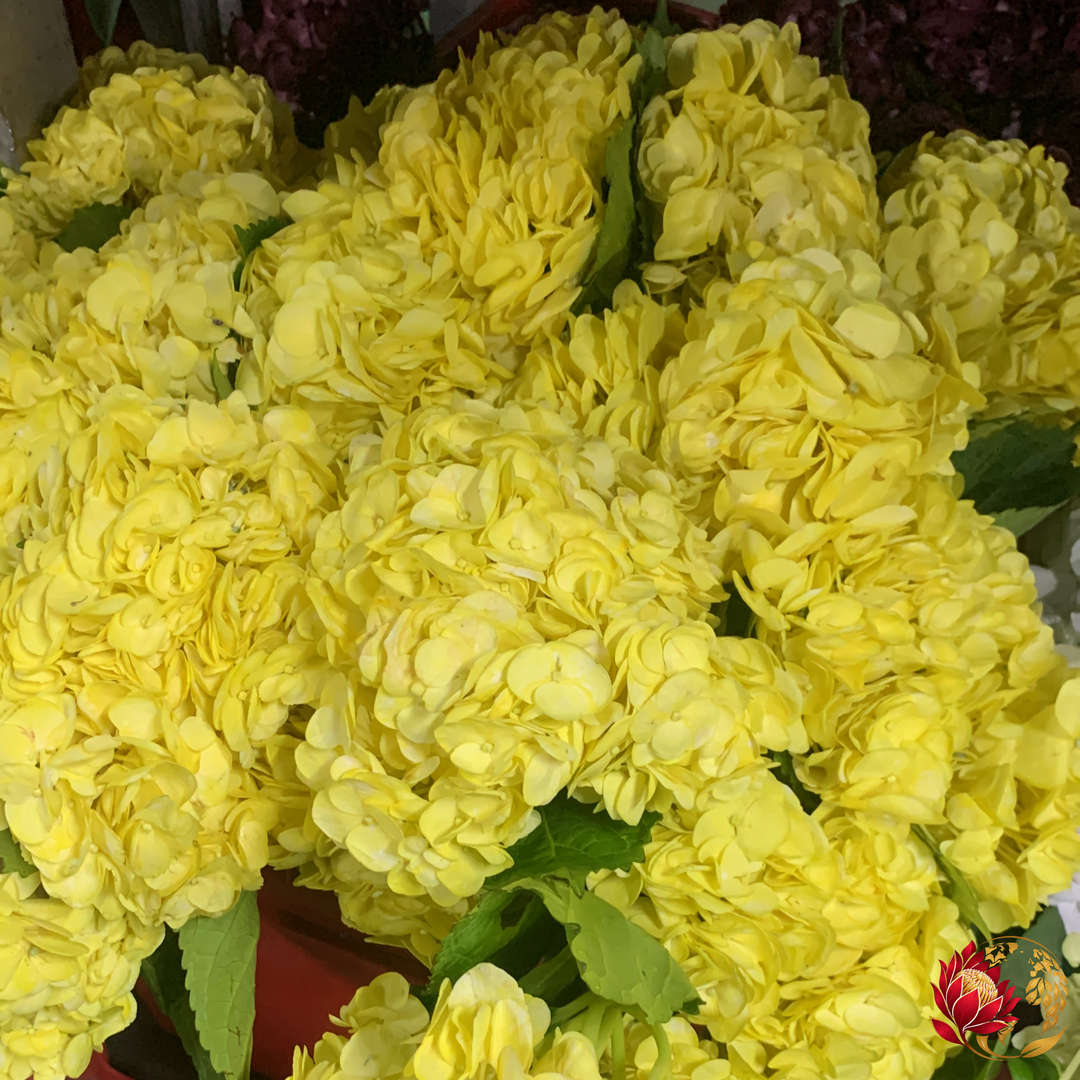 Best Time to Buy Wholesale Flowers: Seasonal Tips for Businesses and Florists