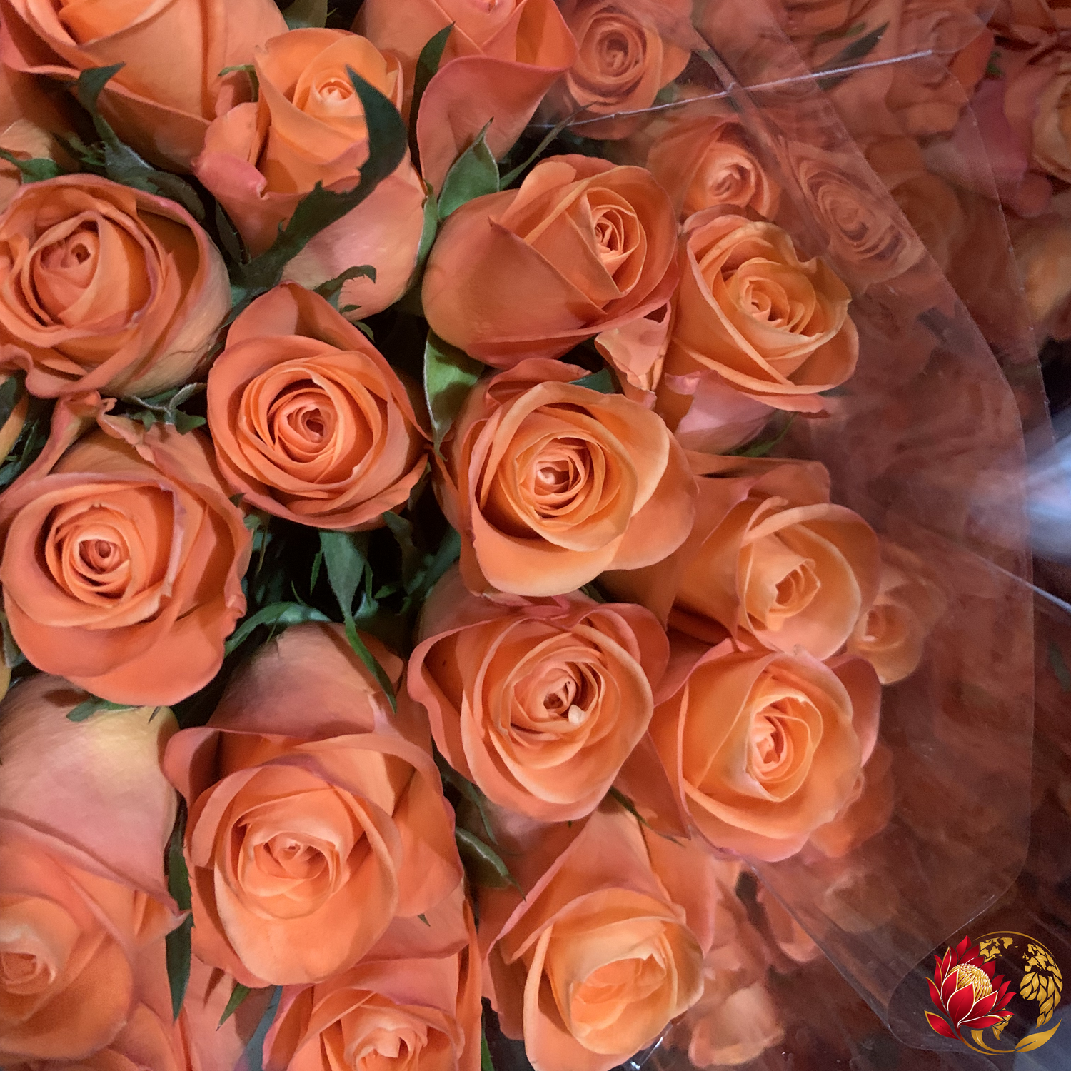 Wholesale Roses