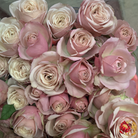 Fleurs de saison