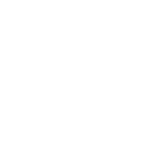 As an experienced flower import and export company, we connect South Africa with international markets through dependable supply chains and professional service.