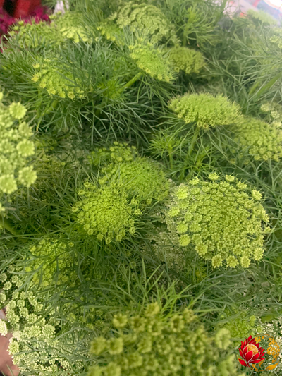 Gros de légumes verts frais