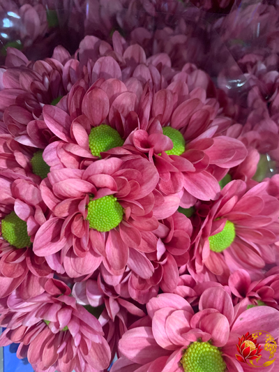 Fleurs coupées en gros