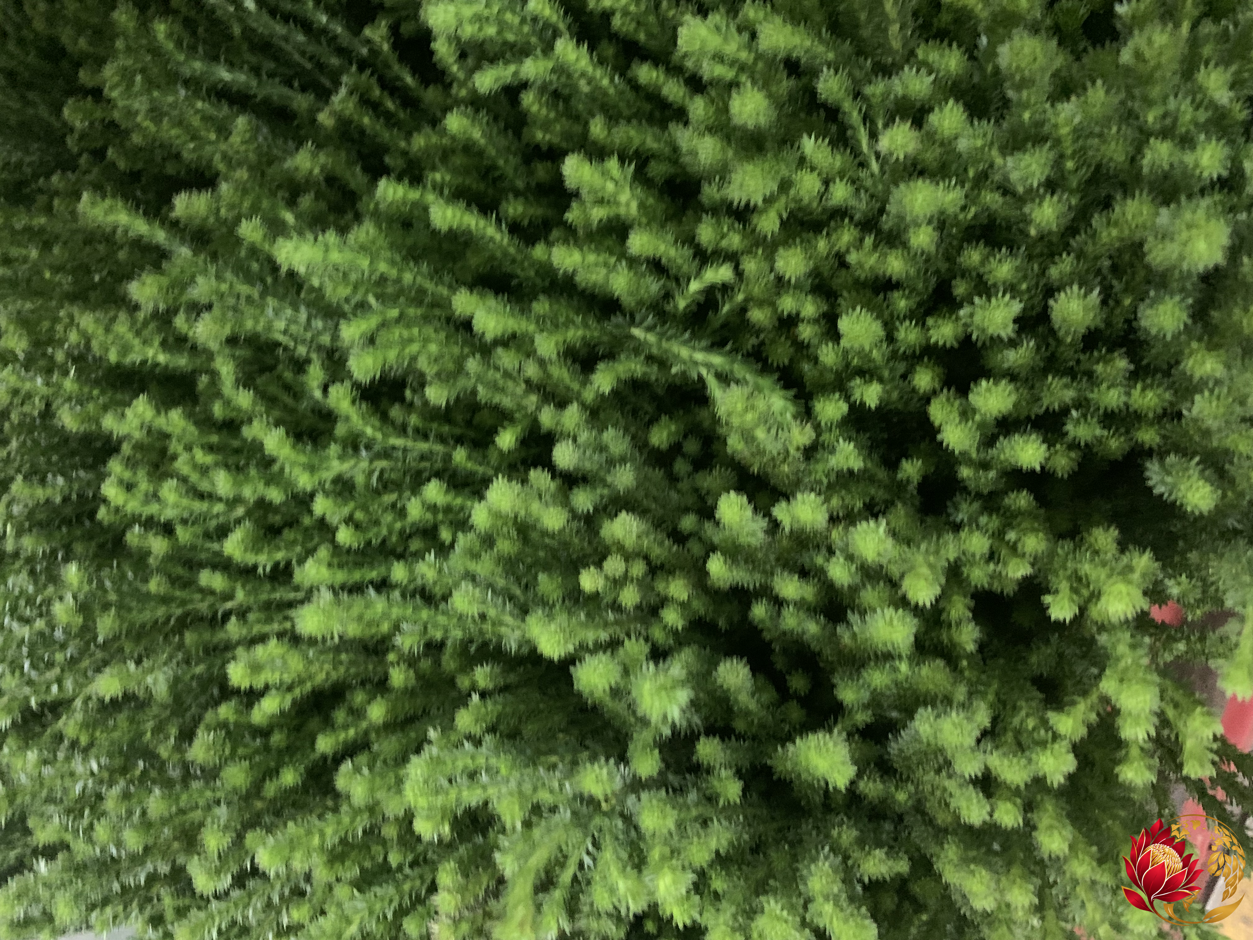  - image 1