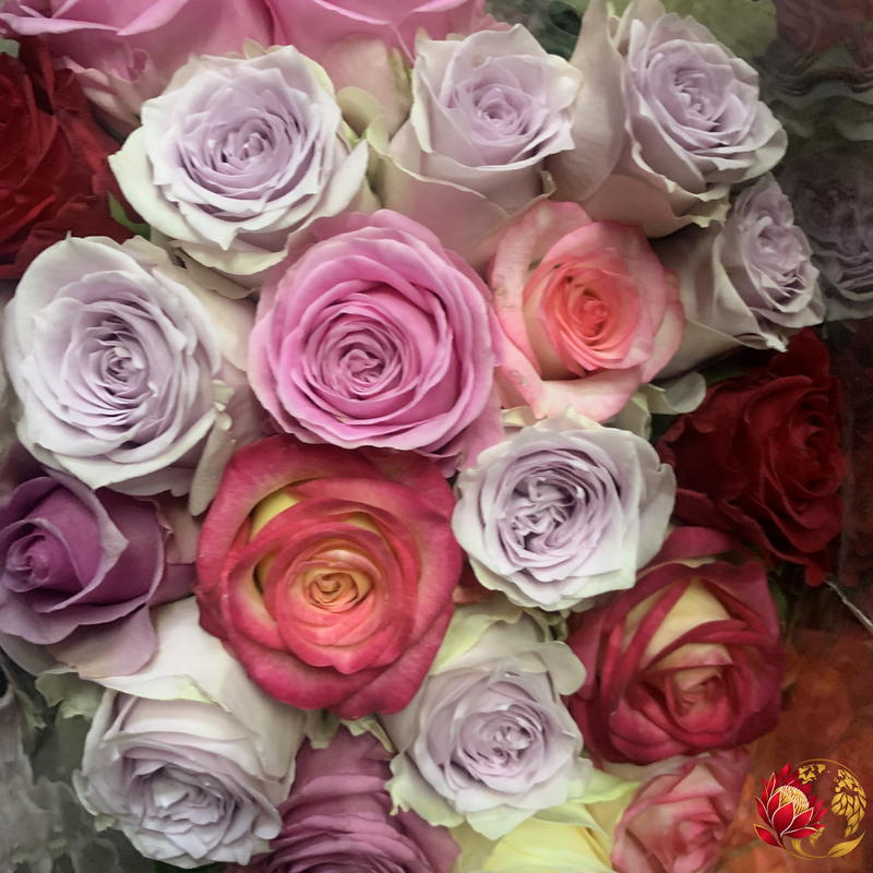 Wholesale Mixed Roses | Buy Fresh Cut Roses in Bulk | Johannesburg
