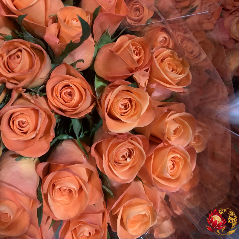 Wholesale Orange Roses | Buy Fresh Cut Roses in Bulk | Johannesburg