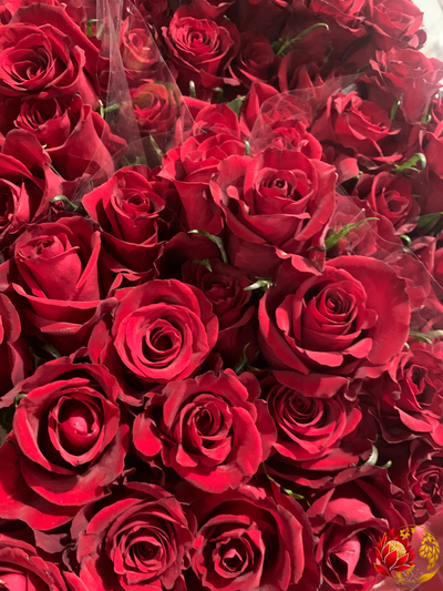 Roses en Gros