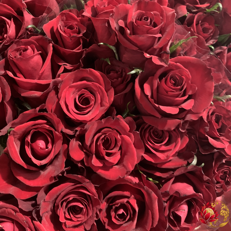 Wholesale Red Roses | Buy Fresh Cut Roses in Bulk | Johannesburg